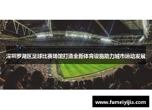 深圳罗湖区足球比赛场馆打造全新体育设施助力城市运动发展